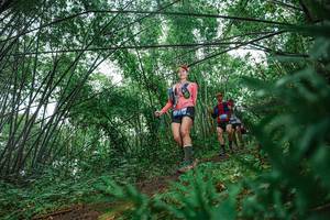 BIB: 
                            <button type="button" onclick="openModal(25115062)" class="btn btn-primary btn-sm float-right btn-popup" data-toggle="modal" data-target=".modal-high-quality">
                        <i class="fas fa-shopping-cart"></i> Add to Cart
                    </button>
                                            <button type="button" onclick="isThisMe(25115062, true)" class="btn btn-success btn-sm float-right btn-popup btn-isme hidden" data-toggle="tooltip" data-placement="bottom" title="นี่คือรูปของคุณใช่ไหม คลิกที่นี่เพื่อเอาเข้าอัลบั้ม">
                        <i class="fas fa-plus"></i> Add to album
                    </button>
                    <button type="button" onclick="isThisMe(25115062, false)" class="btn btn-warning btn-sm float-right btn-popup btn-isnotme hidden">
                        <i class="fas fa-ban"></i> Remove from album
                    </button>